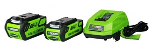 Greenworks Tools 20157 40V Akku-Hochentaster